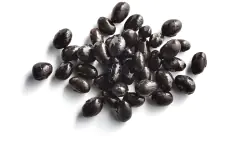 Black Beans